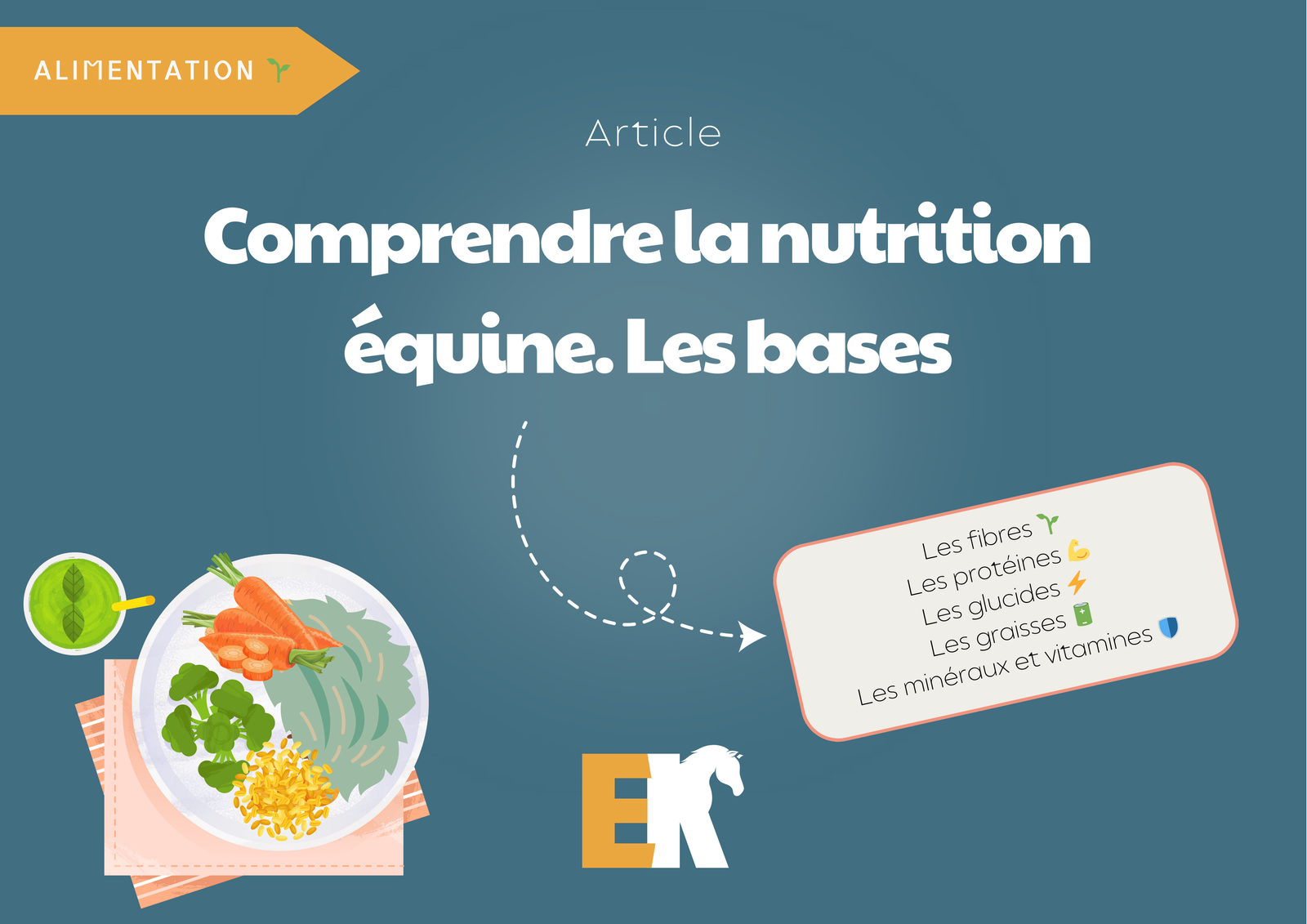 Comprendre la nutrition équine. Les bases