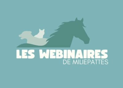 Logo Milliepattes